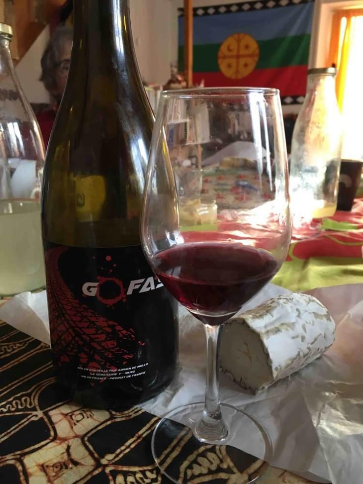 Go Fast - Domaine de la Petite Soeur - Adrien de Mello 