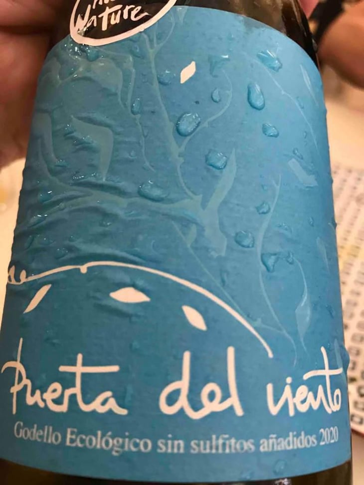Godello - Puerta del Viento - Jorge Vega 