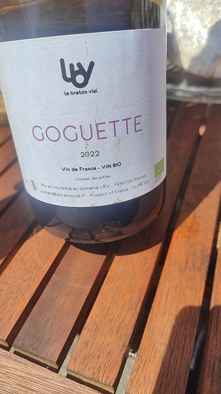 Goguette - Le Breton Vial - Julie Le Breton & Christophe Vial 