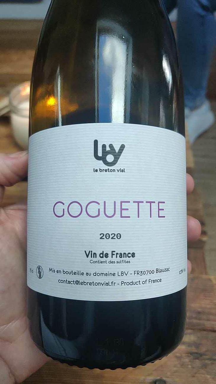 Goguette - Le Breton Vial - Julie Le Breton & Christophe Vial 