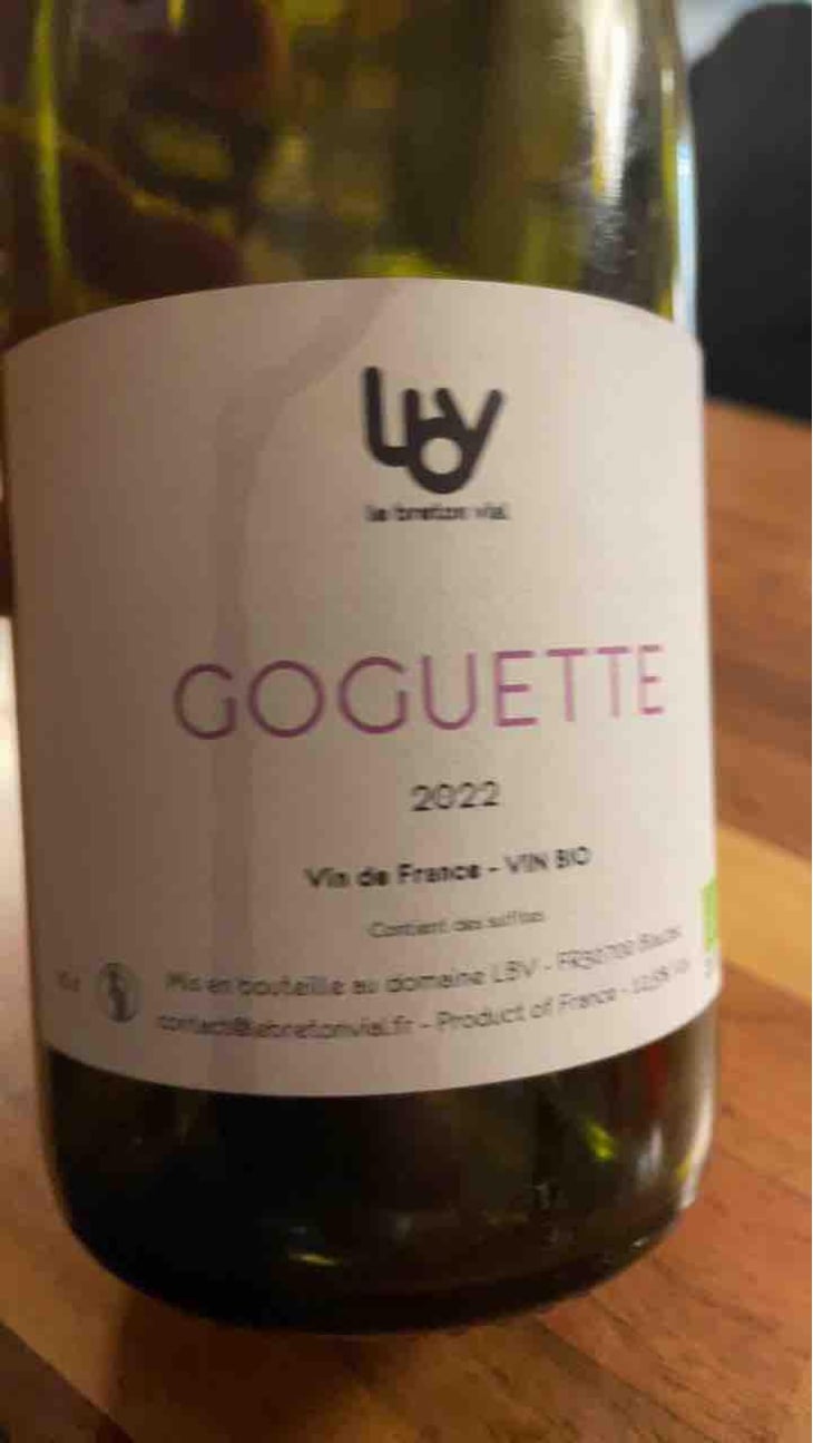 Goguette - Le Breton Vial - Julie Le Breton & Christophe Vial 
