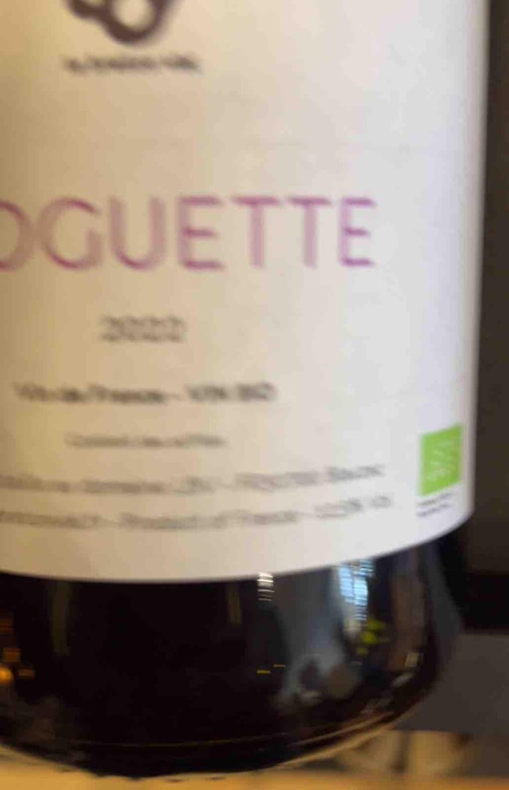 Goguette - Le Breton Vial - Julie Le Breton & Christophe Vial 