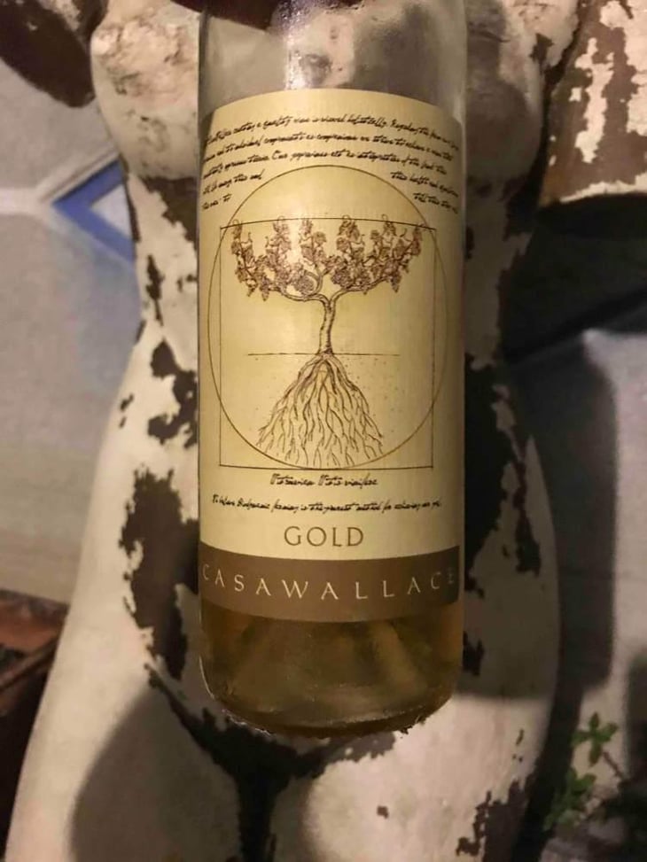 Gold - Casa Wallace - Sarah Wallace 
