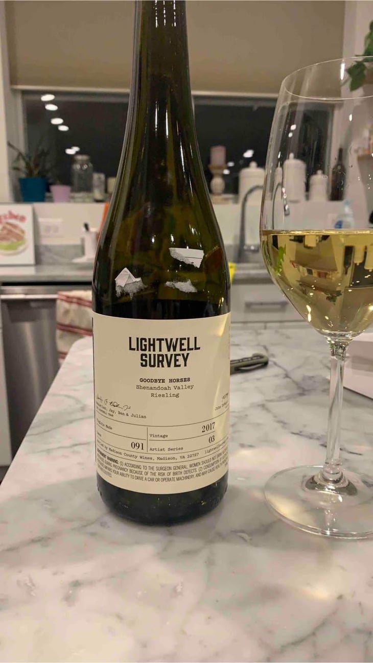 Goodbye Horses - Lightwell Survey - Lightwell Survey 