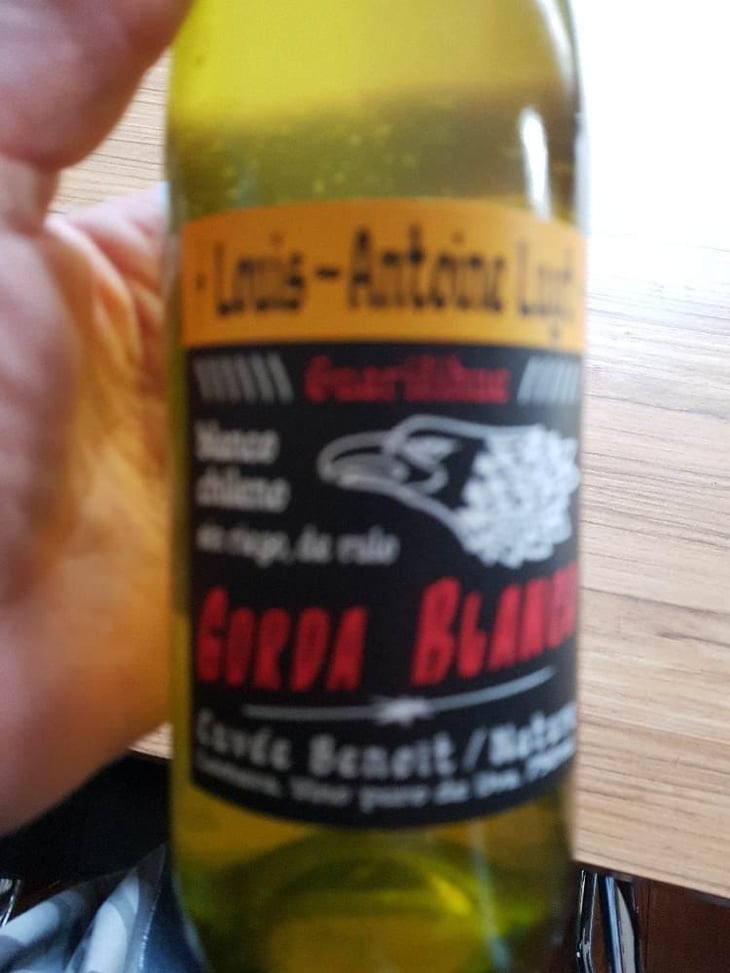 Gorda Blanca Cuvée Benoît - Agricola Luyt - Louis-Antoine Luyt 