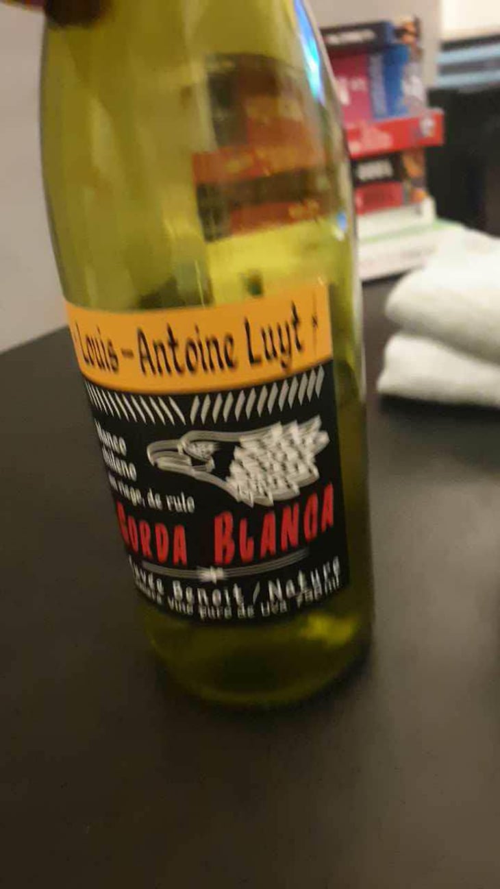 Gorda Blanca Cuvée Benoît - Agricola Luyt - Louis-Antoine Luyt 