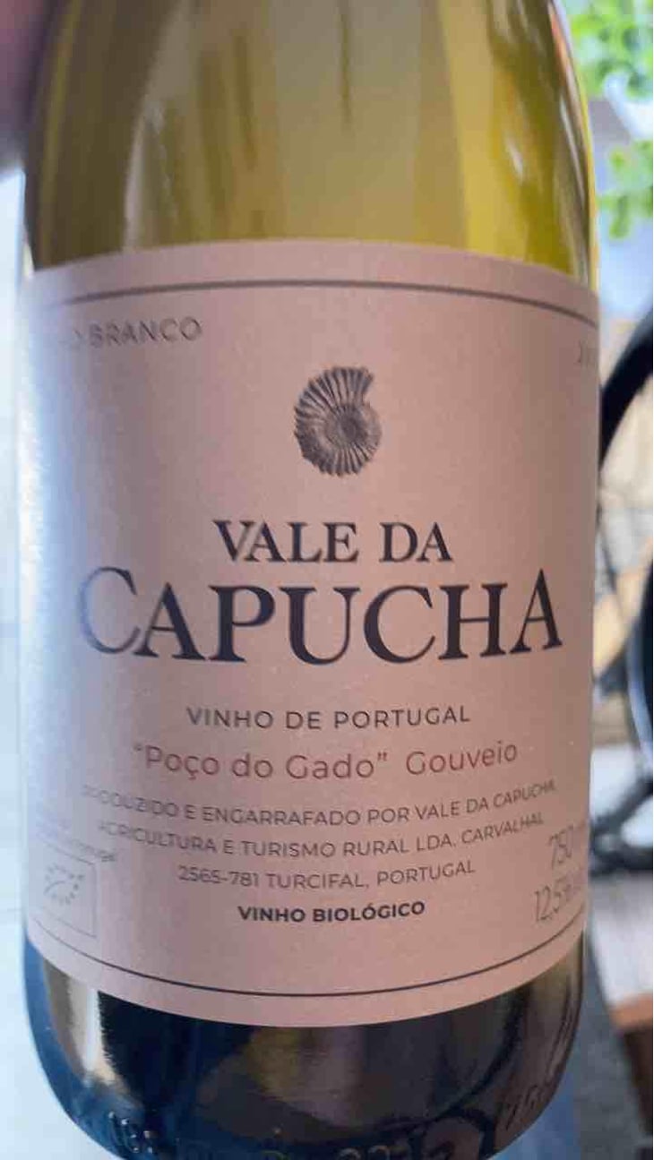 Gouveio - Vale da Capucha - Pedro Marques 