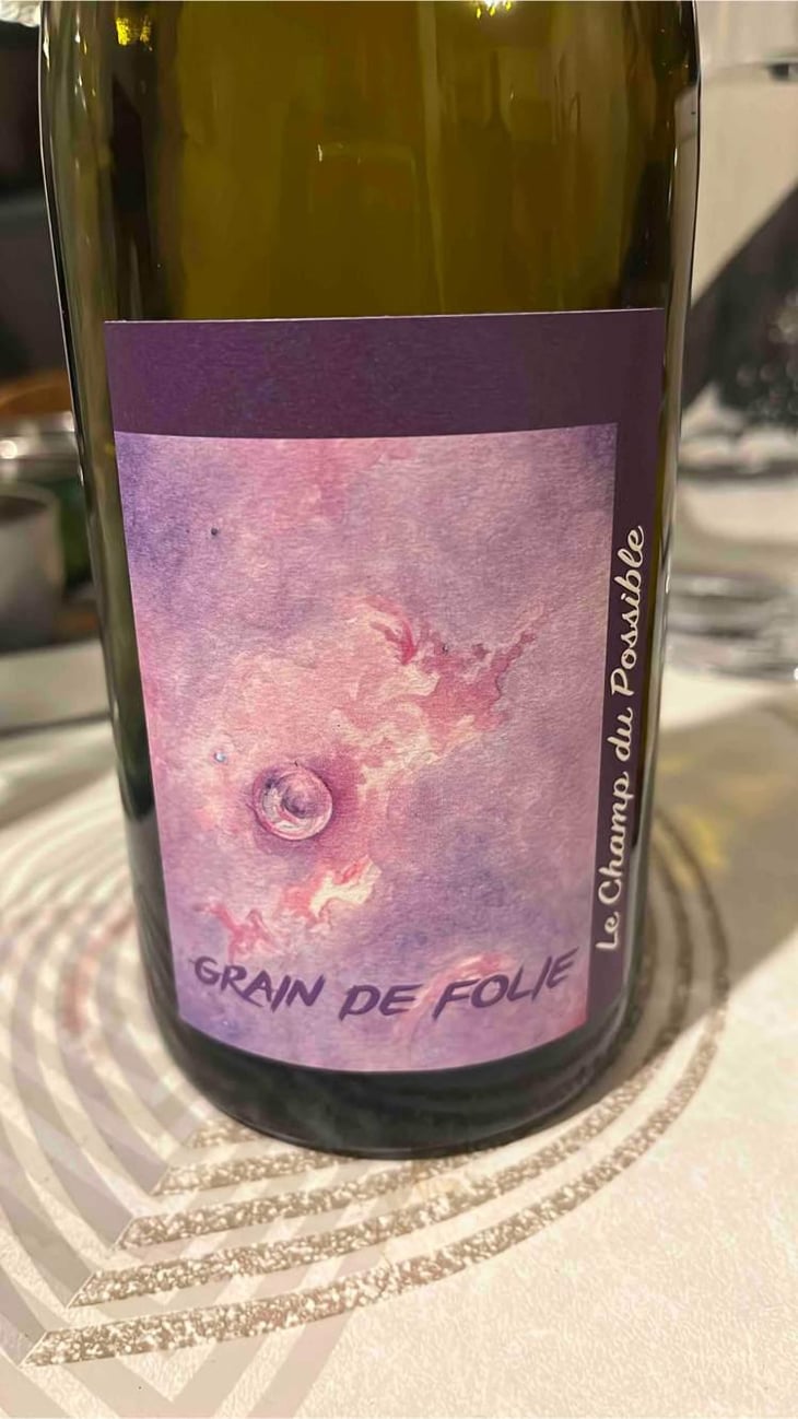 GRAIN DE FOLIE - Le Champ Du Possible - Jacques Pierre -2023