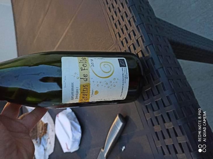 Grains De Folie - Domaine de Mirebeau - Bruno Rochard 