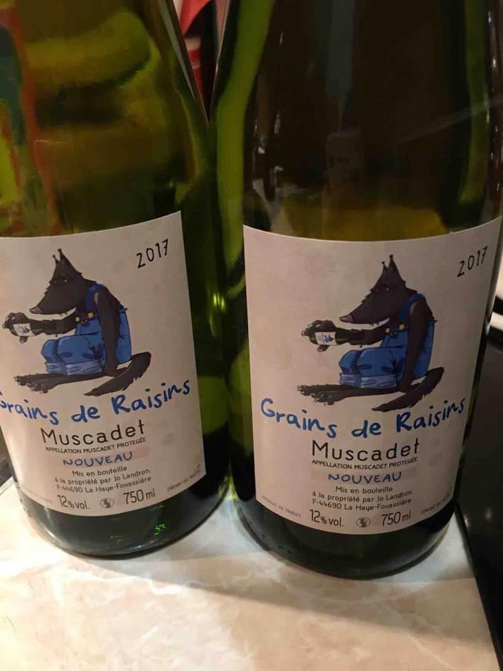 Grains de Raisins - Domaine Jo Landron - Jo Landron 