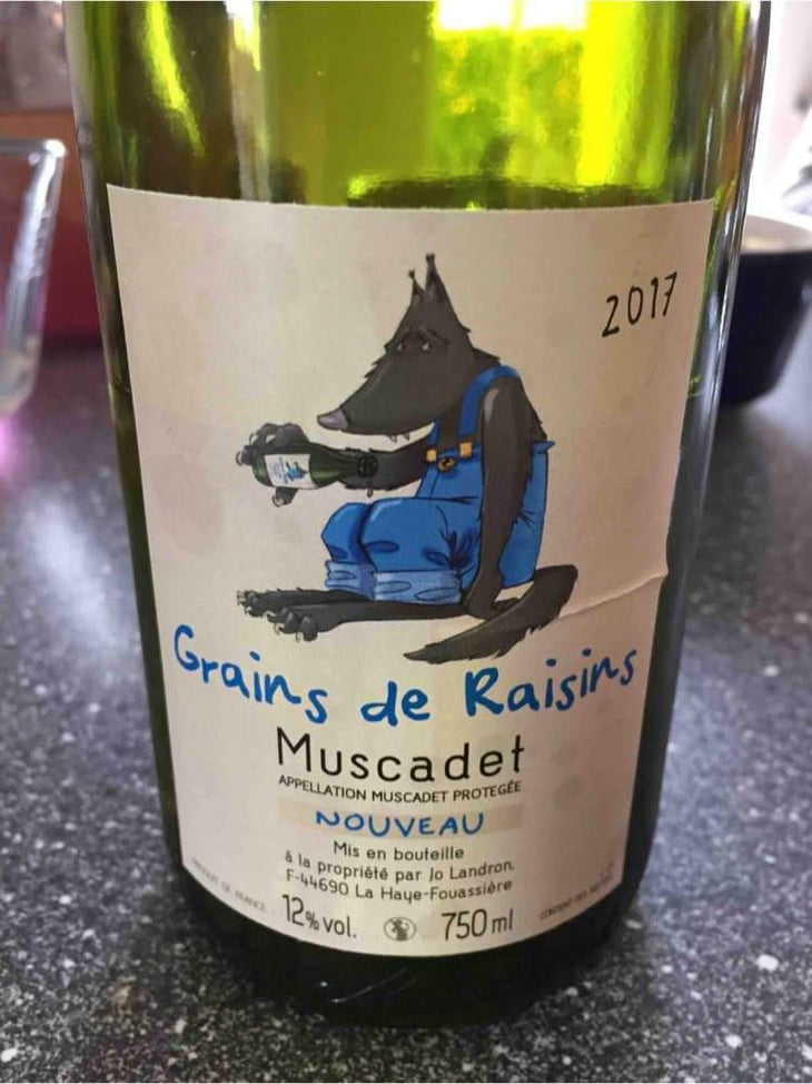 Grains de Raisins - Domaine Jo Landron - Jo Landron 