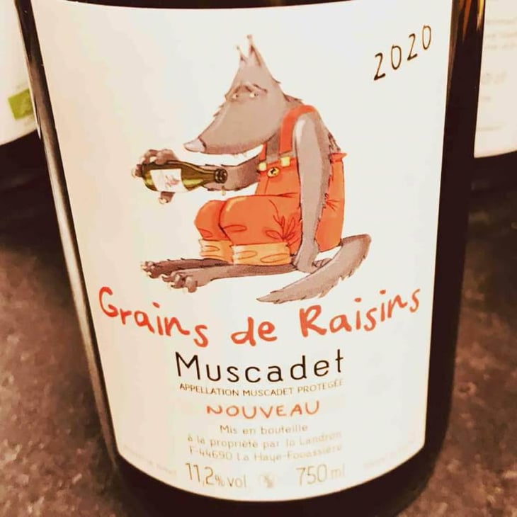 Grains de Raisins - Domaine Jo Landron - Jo Landron 