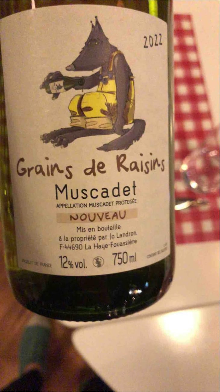 Grains de Raisins - Domaine Jo Landron - Jo Landron 