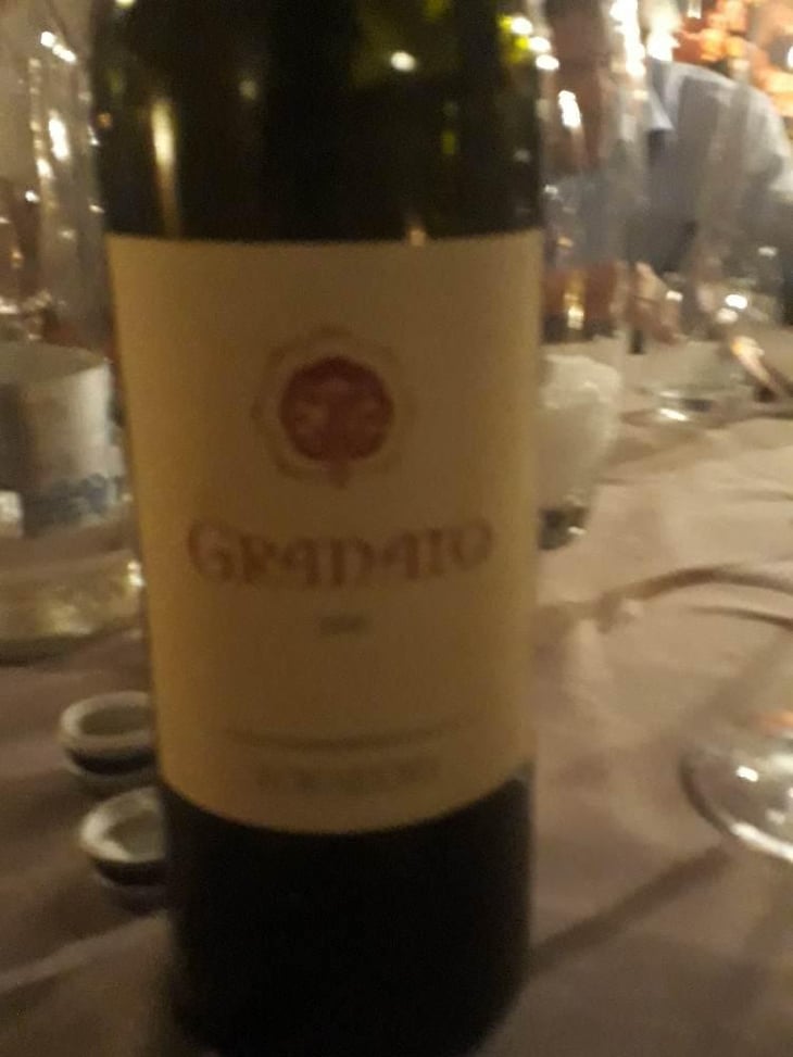 Granato - Azienda Agricola Foradori - Elisabetta Foradori 