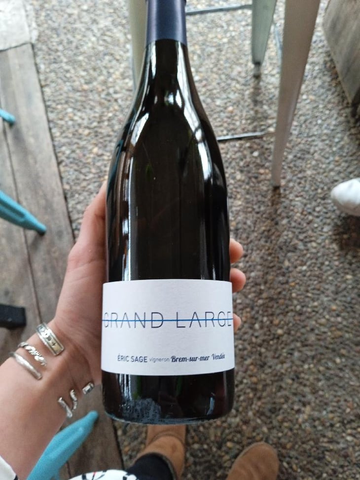 Grand Large (blanc) - Domaine Éric Sage - Éric Sage 