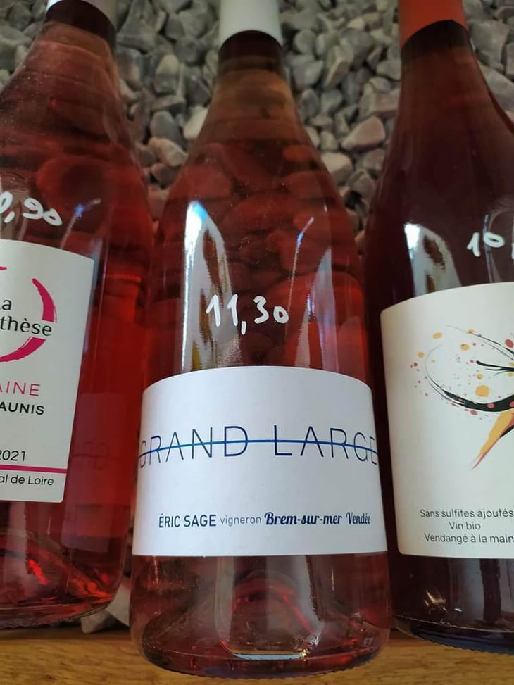 Grand Large Rosé - Domaine Éric Sage - Éric Sage 