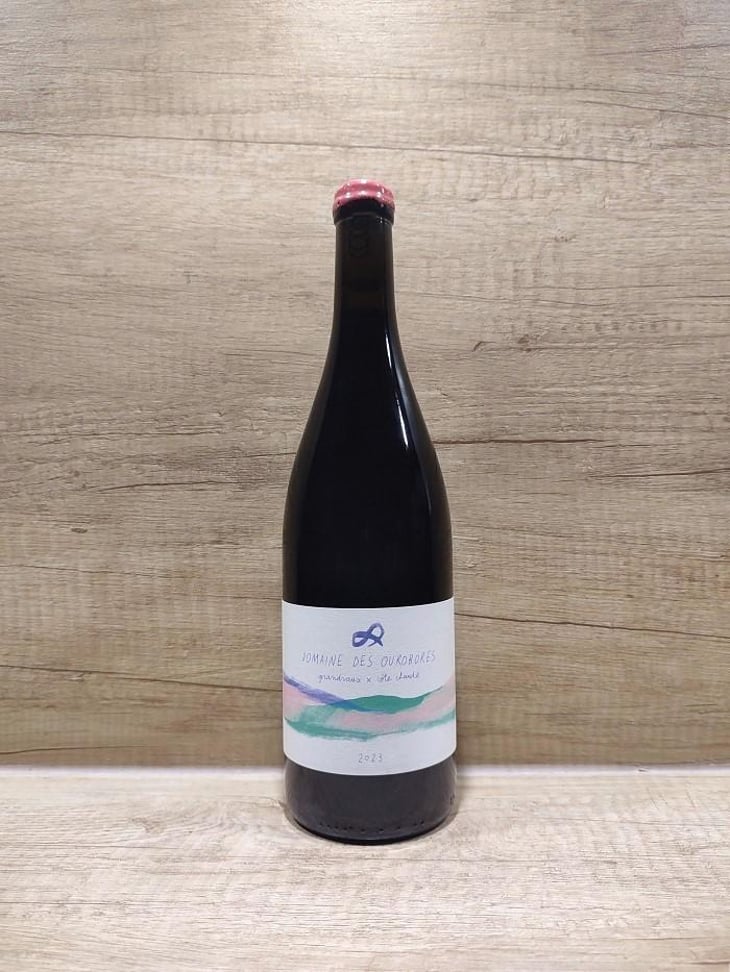 Grandvaux x Côte Chaude - Domaine des Ourobores - Nicolas-Julian Hilbold -2023