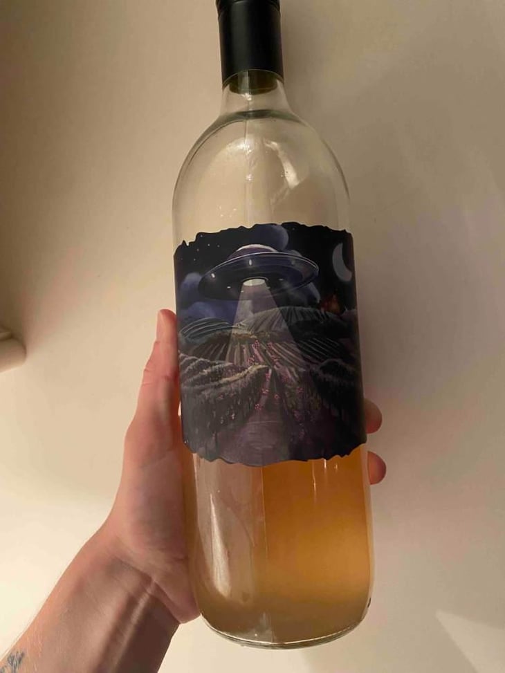 Grape Abduction Company Orange - Gönc Winery / Grape Adbuction - Peter Gönc 