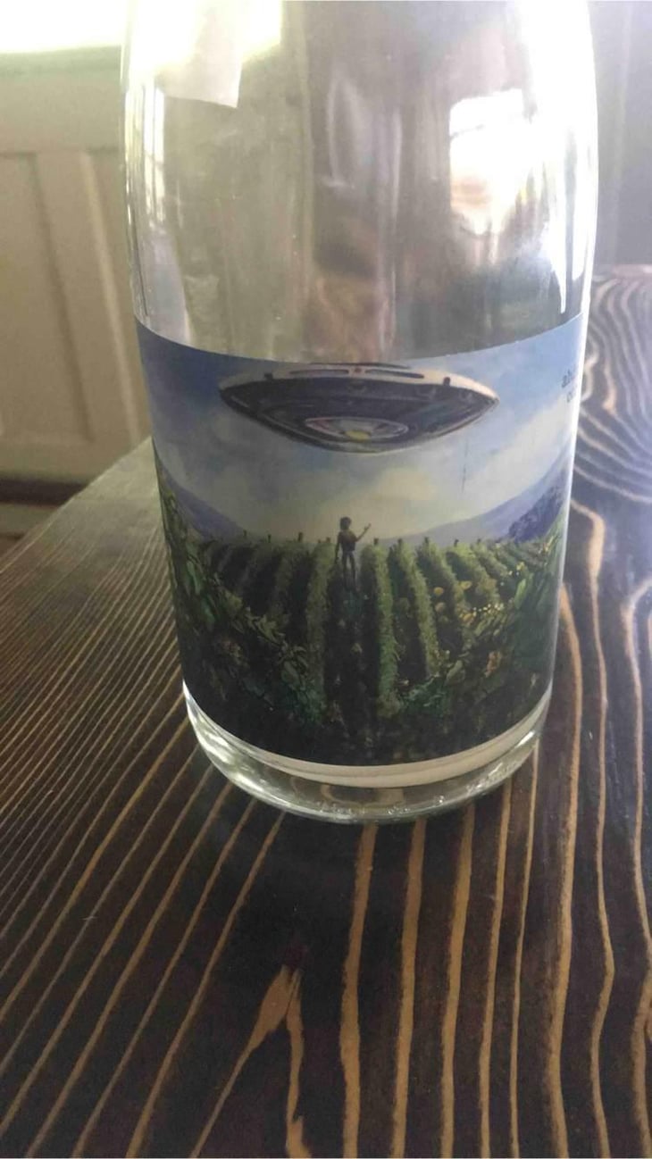 Grape Abduction Company Piquette - Gönc Winery / Grape Adbuction - Peter Gönc 
