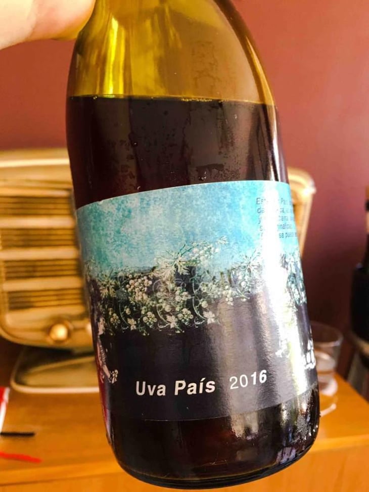 Uva Pais 🇨🇱 - Heteroclito - 33824