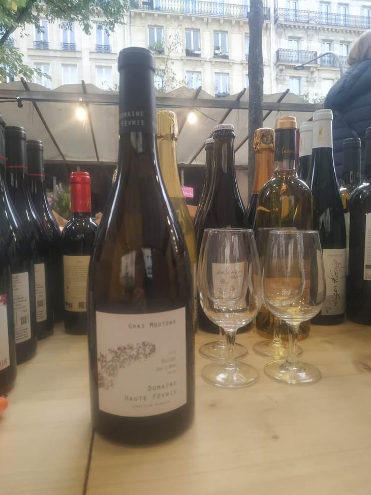 Gras Moutons - Domaine Haute Fevrie - Sebastien Branger 