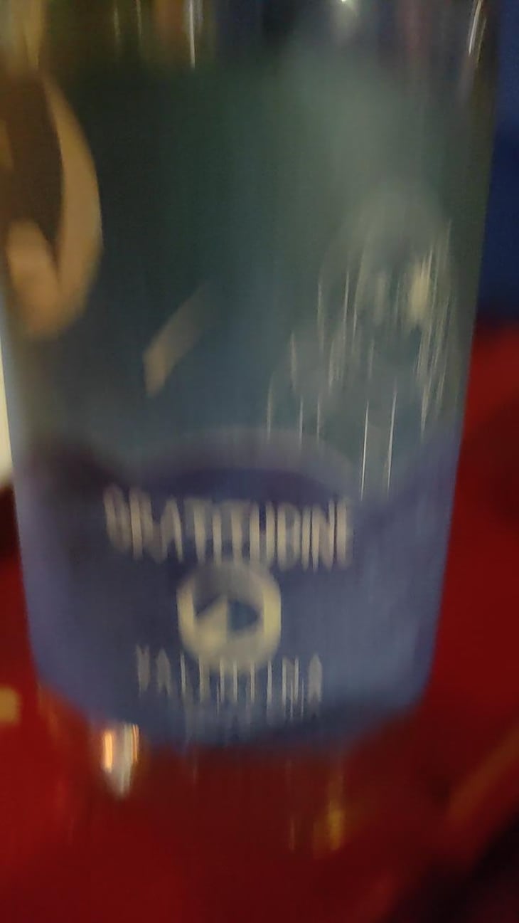 Gratitudine - Valentina Passalacqua - Valentina Passalacqua 