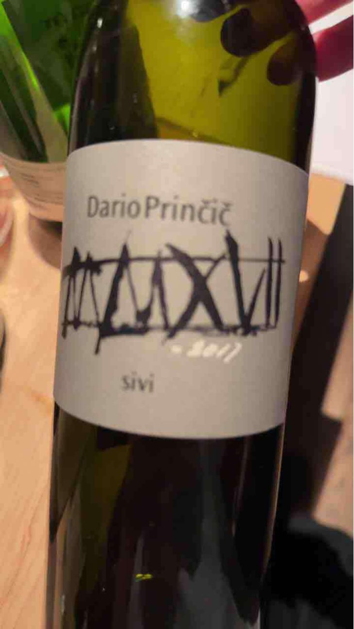 Sivi - Dario Prinčič - Dario Prinčič -2017