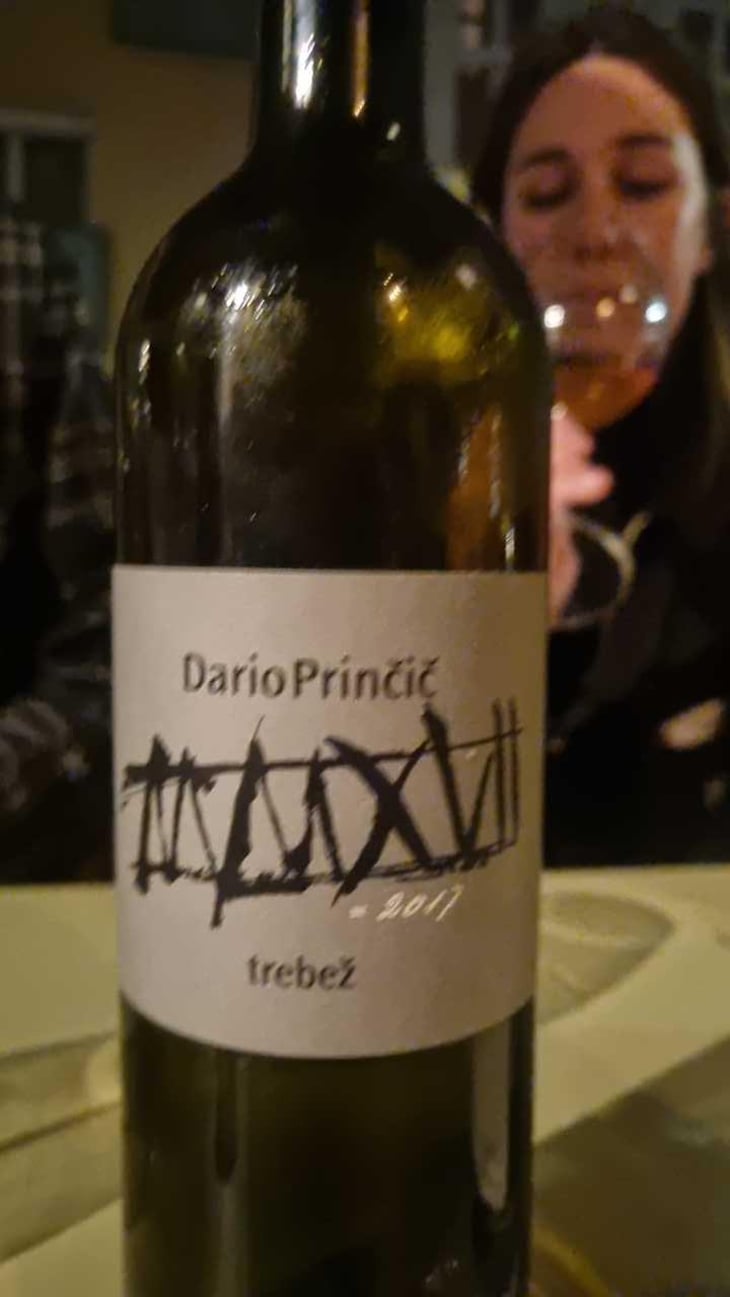 Sivi - Dario Prinčič - Dario Prinčič -2017