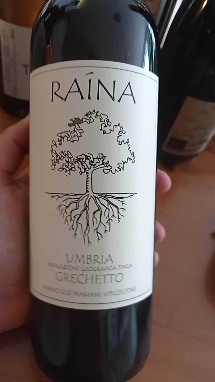 Grechetto - Raína - Francesco Mariani 