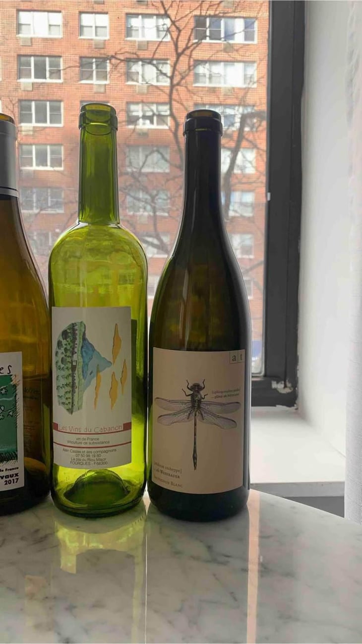Grüne Libelle - Sauvignon Blanc - Weingut Andreas & Elisabeth Tscheppe - Andreas & Elisabeth Tscheppe 