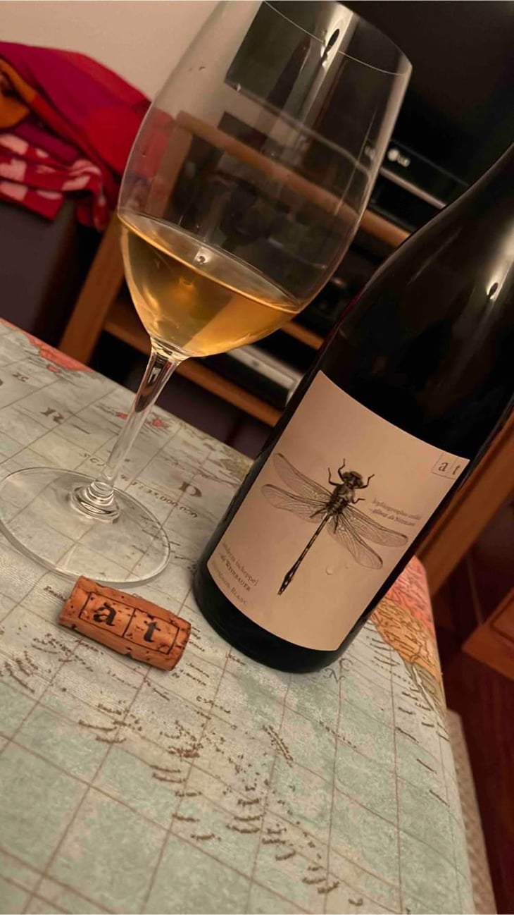 Grüne Libelle - Sauvignon Blanc - Weingut Andreas & Elisabeth Tscheppe - Andreas & Elisabeth Tscheppe 