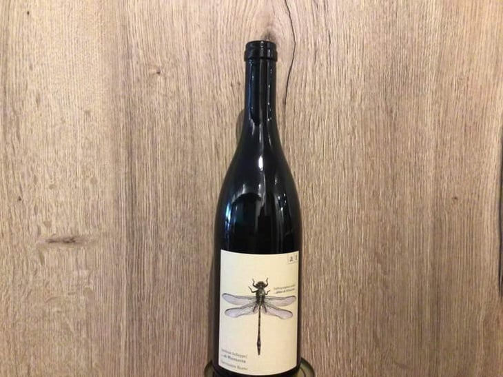 Grüne Libelle - Sauvignon Blanc - Weingut Andreas & Elisabeth Tscheppe - Andreas & Elisabeth Tscheppe 
