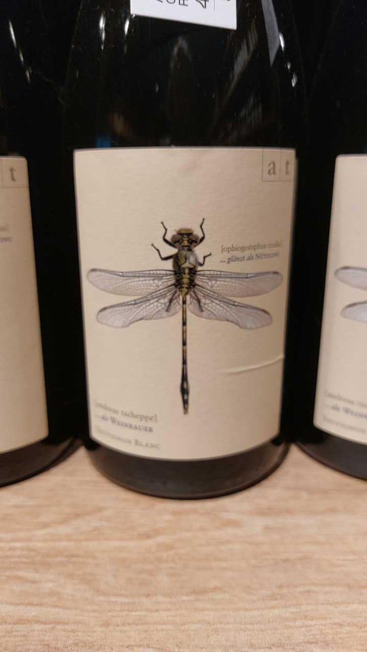 Grüne Libelle - Sauvignon Blanc - Weingut Andreas & Elisabeth Tscheppe - Andreas & Elisabeth Tscheppe 