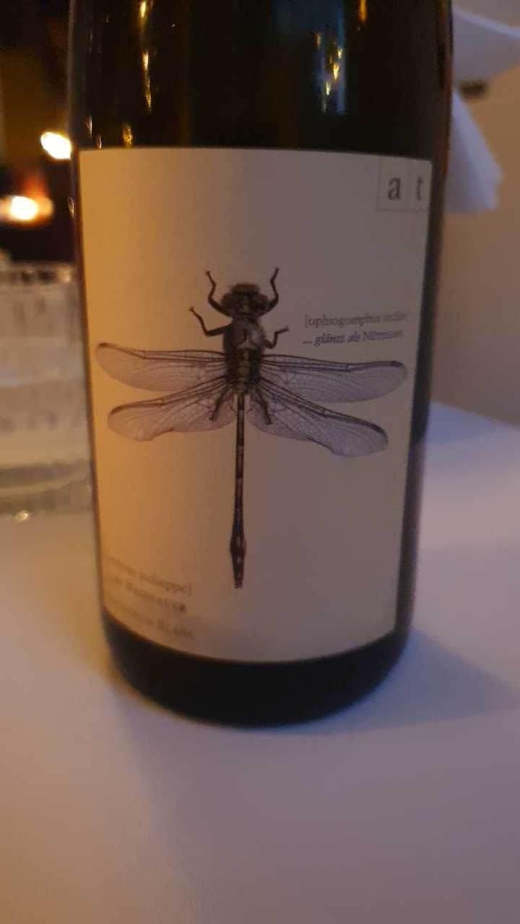 Grüne Libelle - Sauvignon Blanc - Weingut Andreas & Elisabeth Tscheppe - Andreas & Elisabeth Tscheppe 