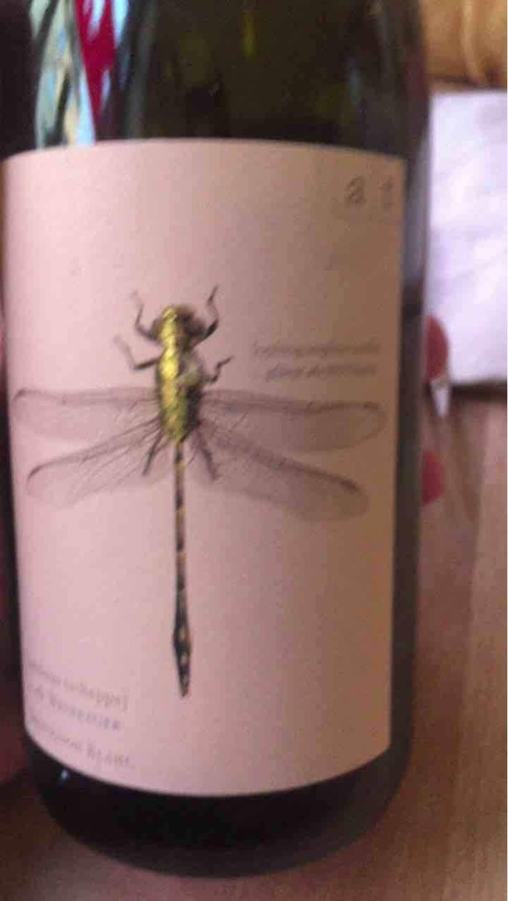 Grüne Libelle - Sauvignon Blanc - Weingut Andreas & Elisabeth Tscheppe - Andreas & Elisabeth Tscheppe 