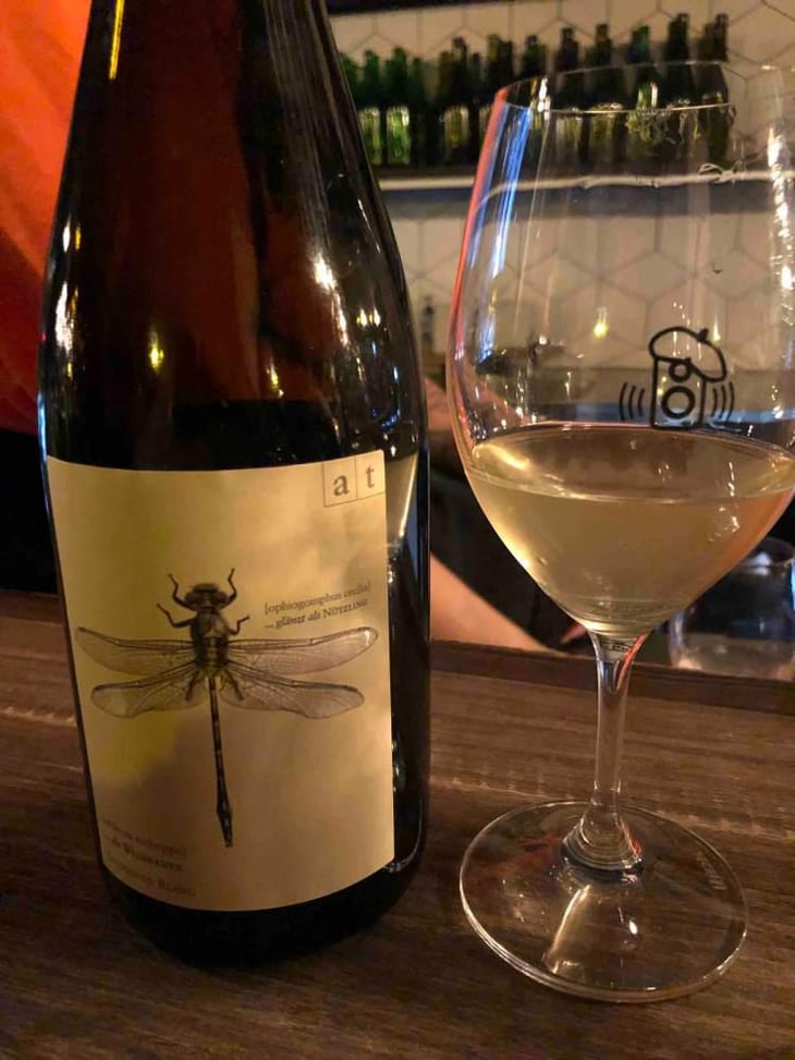 Grüne Libelle - Sauvignon Blanc - Weingut Andreas & Elisabeth Tscheppe - Andreas & Elisabeth Tscheppe 