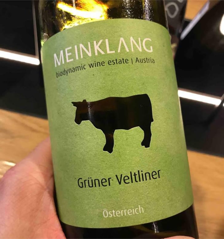 Grüner Veltliner - Meinklang - Weingut Michlits - Angela & Werner Michlits 