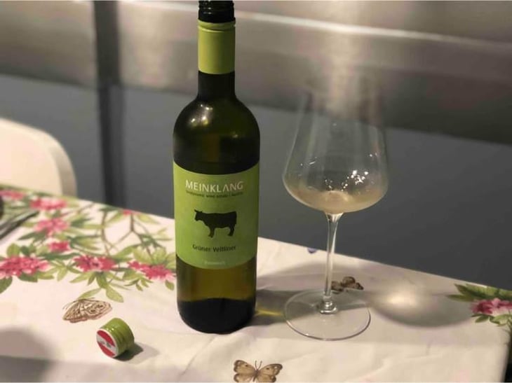 Grüner Veltliner - Meinklang - Weingut Michlits - Angela & Werner Michlits 