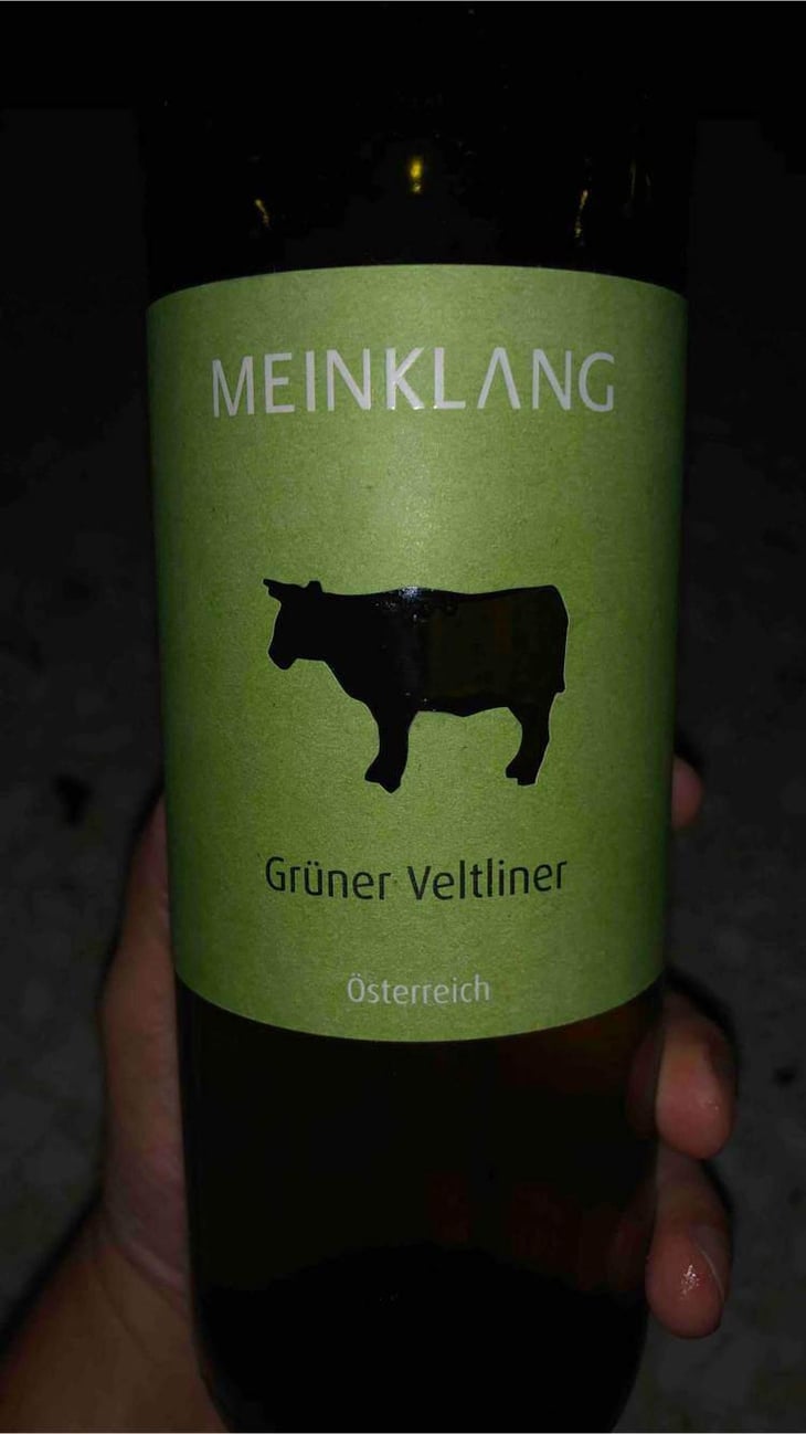 Grüner Veltliner - Meinklang - Weingut Michlits - Angela & Werner Michlits 
