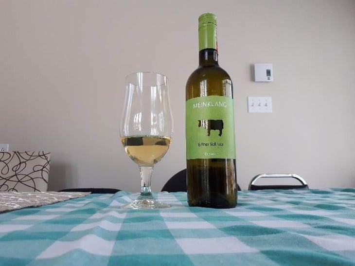 Grüner Veltliner - Meinklang - Weingut Michlits - Angela & Werner Michlits 