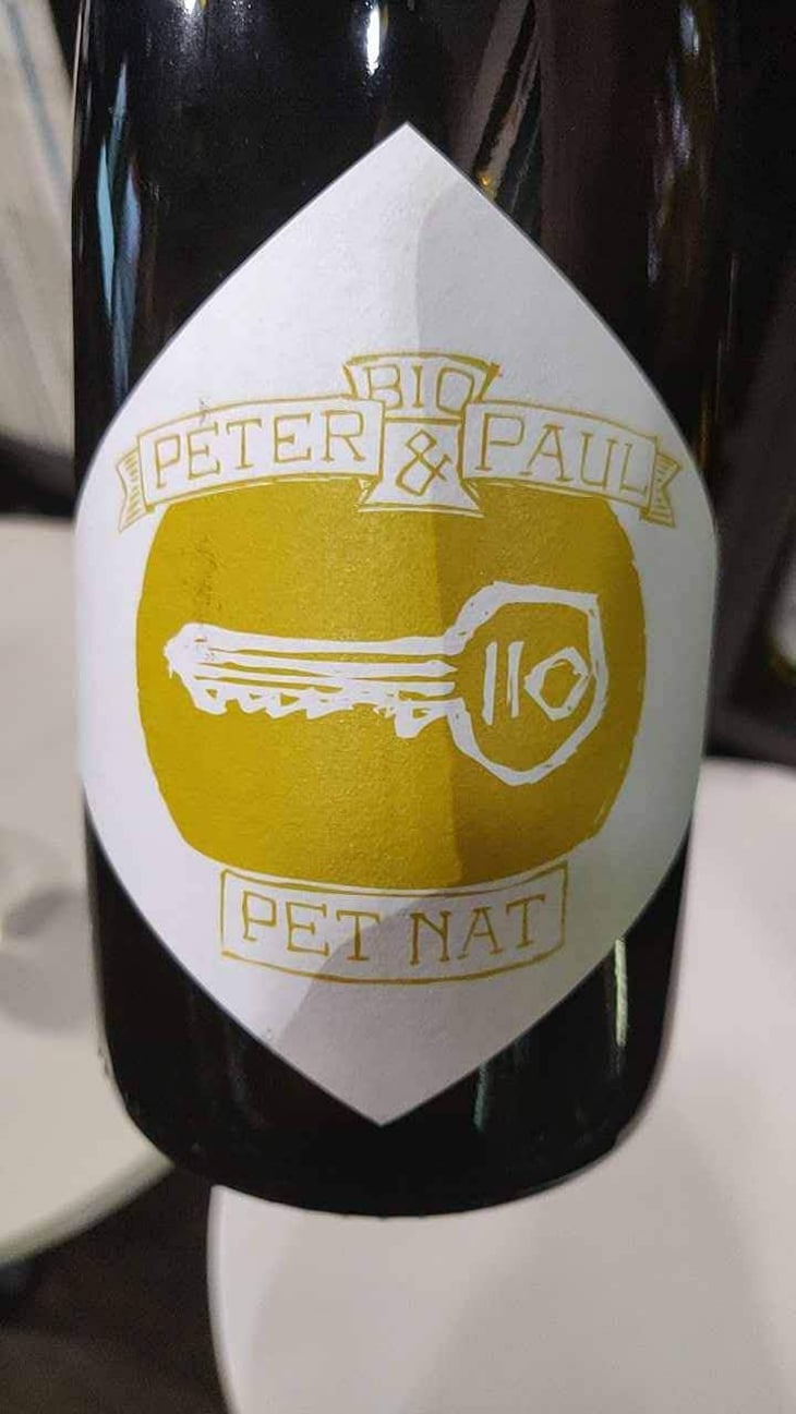 Gruner Veltliner - Winzerhof Hoch - Harald, Christoph, Daniela & Andrea Hoch 