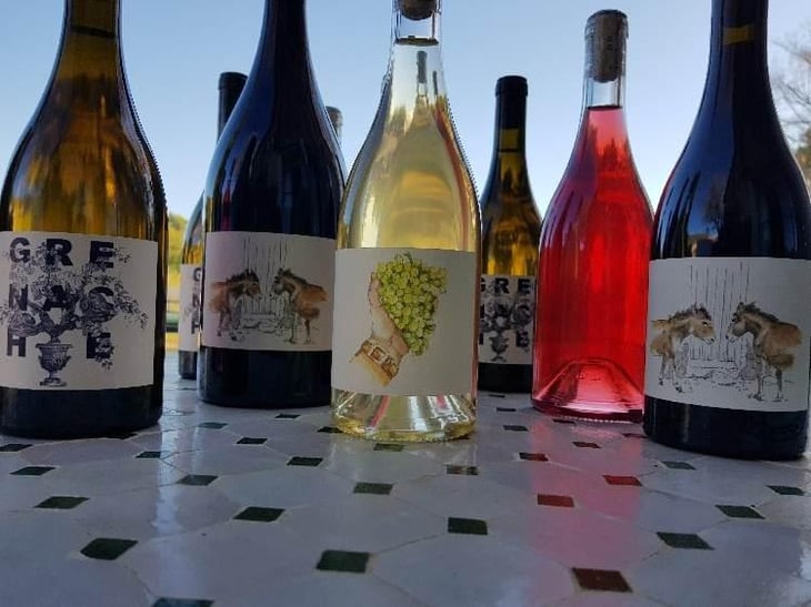 Grenache Blanc - Domaine de la Cavalière - Domaine de la Cavalière 