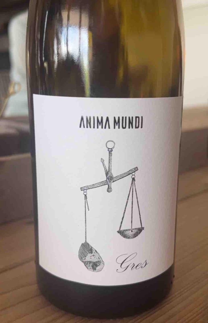 Gres - Anima Mundi - Agustí Torelló Roca 