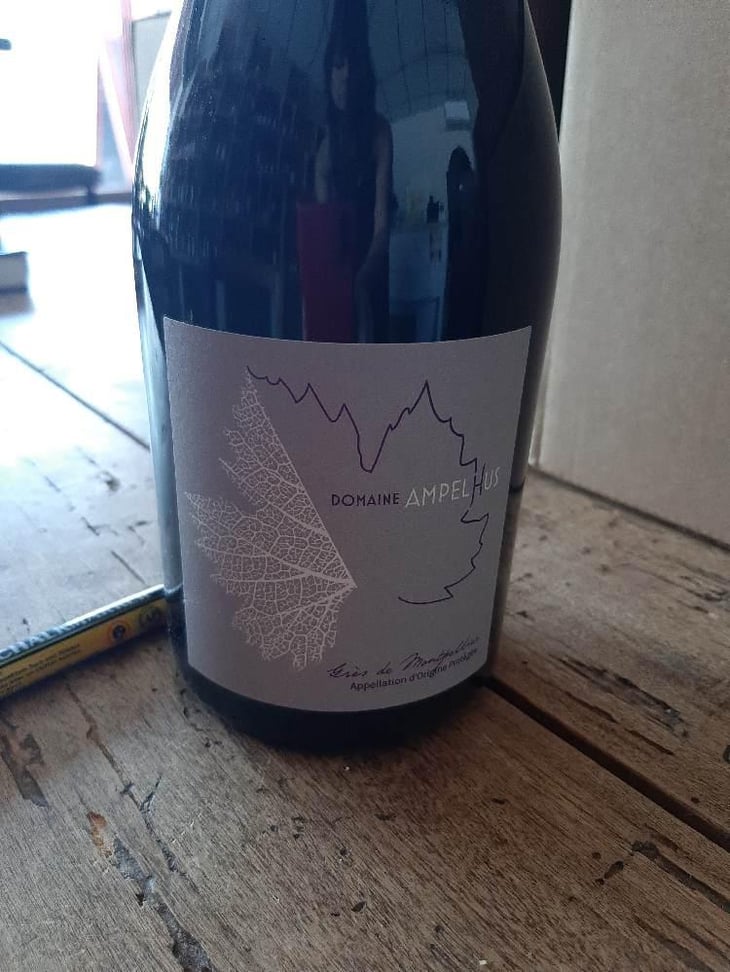 Grès de Montpellier - Domaine Ampelhus - Jenia Vasiljeva & Thibault Vermillard 