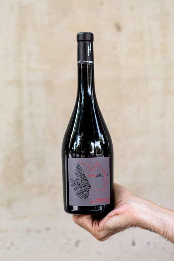 Grès de Montpellier - Domaine Ampelhus - Jenia Vasiljeva & Thibault Vermillard 