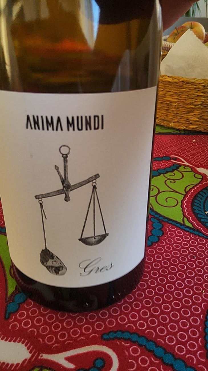 Gres - Anima Mundi - Agustí Torelló Roca 