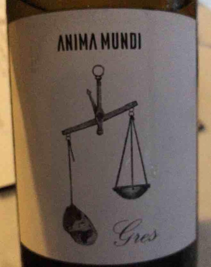 Gres - Anima Mundi - Agustí Torelló Roca 