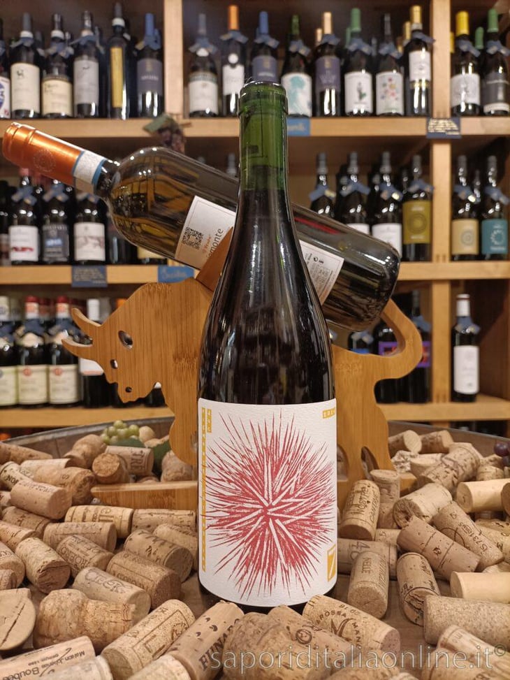 grignolino 2022 - Sette Wine - Gianluca Colombo & Gino della Porta 