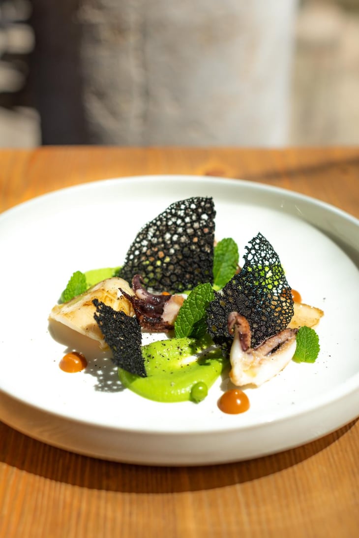 Grilled Cuttlefish - Stappo - 653128
