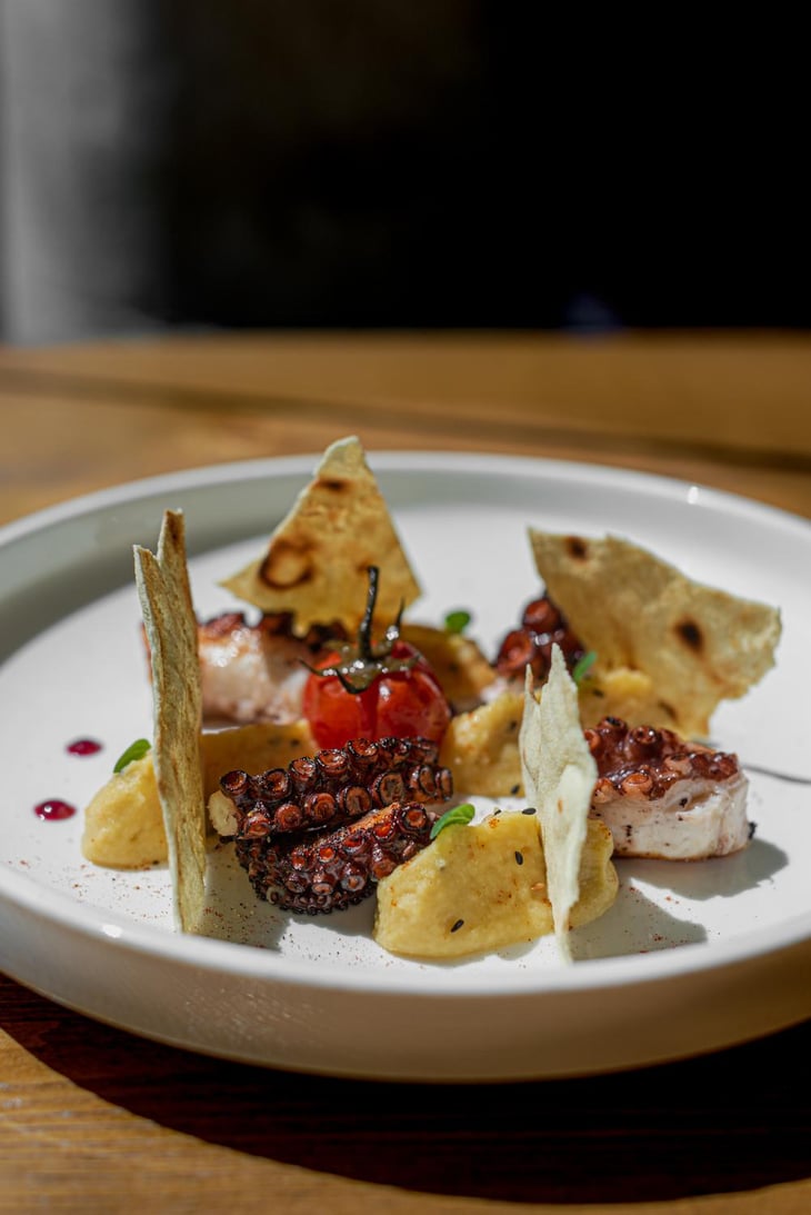Grilled Octopus - Stappo - 653129